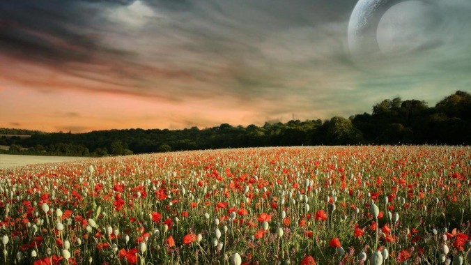 Rust开发Web后端效率如何？